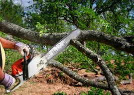 Lawn Irrigation Installation and Maintenance in Rainbow Springs, FL